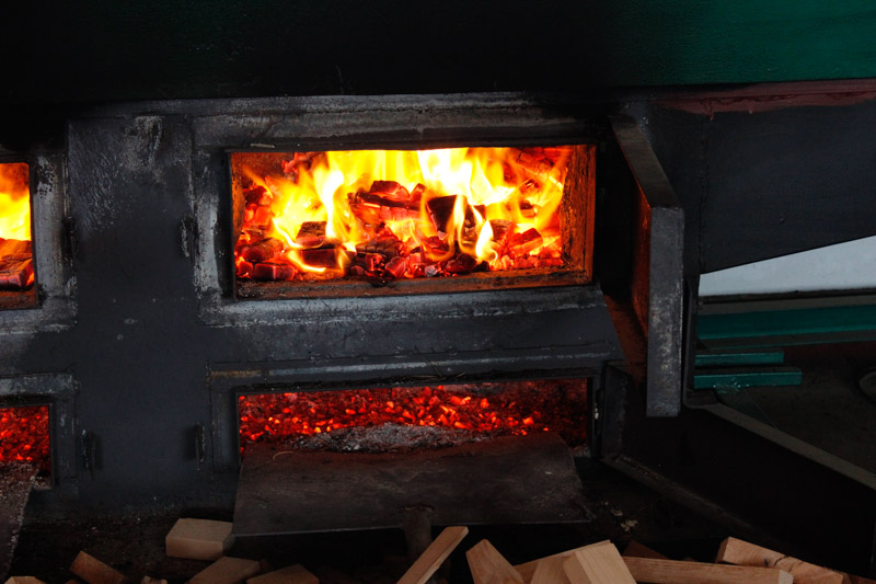 Melatih Kesabaran Melawan Siput